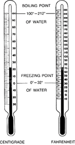 Đề thi giữa kì 2 Toán 8 - Đề số 5 - Chân trời sáng tạo 0 5