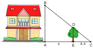 Đề thi giữa kì 2 Toán 8 - Đề số 5 - Chân trời sáng tạo 1 5