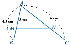 Đề thi giữa kì 2 Toán 8 - Đề số 6 - Chân trời sáng tạo 1 1