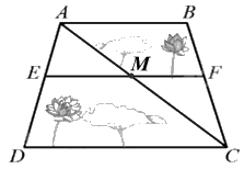 Đề thi giữa kì 2 Toán 8 - Đề số 6 - Chân trời sáng tạo 1 4