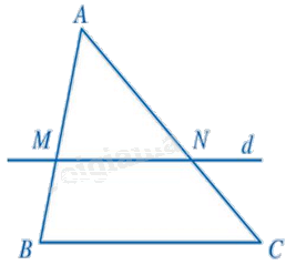Đề thi giữa kì 2 Toán 8 - Đề số 7 - Chân trời sáng tạo 1 2