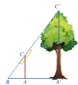 Đề thi giữa kì 2 Toán 8 - Đề số 8 - Chân trời sáng tạo 0 1