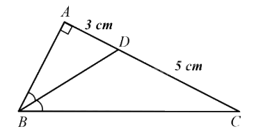 Đề thi giữa kì 2 Toán 8 - Đề số 8 - Chân trời sáng tạo 1 2