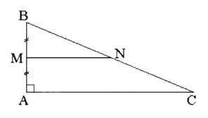 Đề thi giữa kì 2 Toán 8 - Đề số 8 - Chân trời sáng tạo 1 3