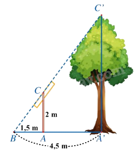 Đề thi giữa kì 2 Toán 8 - Đề số 8 - Chân trời sáng tạo 1 5