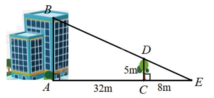 Đề thi giữa kì 2 Toán 8 Kết nối tri thức - Đề số 10 0 5