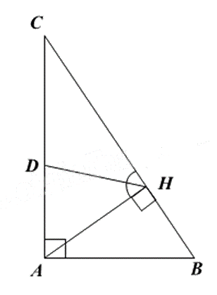 Đề thi giữa kì 2 Toán 8 Kết nối tri thức - Đề số 10 1 12