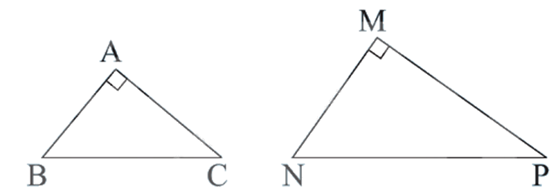 Đề thi giữa kì 2 Toán 8 Kết nối tri thức - Đề số 10 1 5