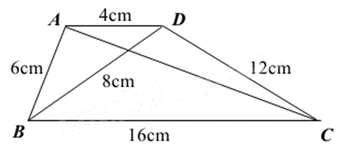 Đề thi giữa kì 2 Toán 8 Kết nối tri thức - Đề số 9 0 1