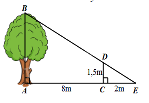 Đề thi giữa kì 2 Toán 8 Kết nối tri thức - Đề số 9 0 2