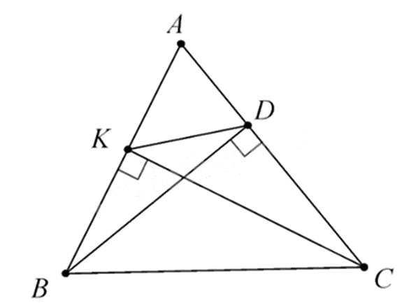 Đề thi giữa kì 2 Toán 9 Cánh diều - Đề số 4 1 14