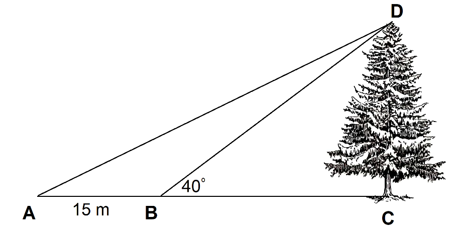 Đề thi học kì 1 Toán 10 Cánh diều - Đề số 7 0 13