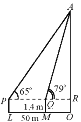 Đề thi học kì 1 Toán 10 cánh diều - Đề số 8 2