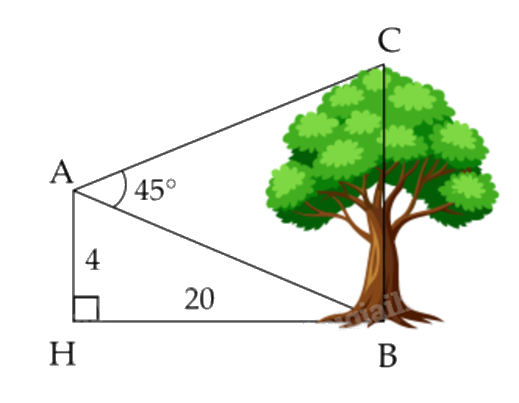 Đề thi học kì 1 Toán 10 Chân trời sáng tạo - Đề số 11 0 4