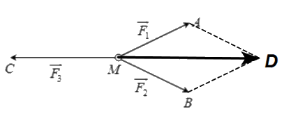 Đề thi học kì 1 Toán 10 Chân trời sáng tạo - Đề số 5 13