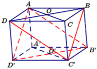 Đề thi học kì 1 Toán 11 Chân trời sáng tạo - Đề số 1 1 6
