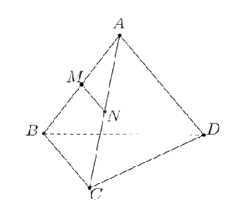 Đề thi học kì 1 Toán 11 Chân trời sáng tạo - Đề số 7 1 1