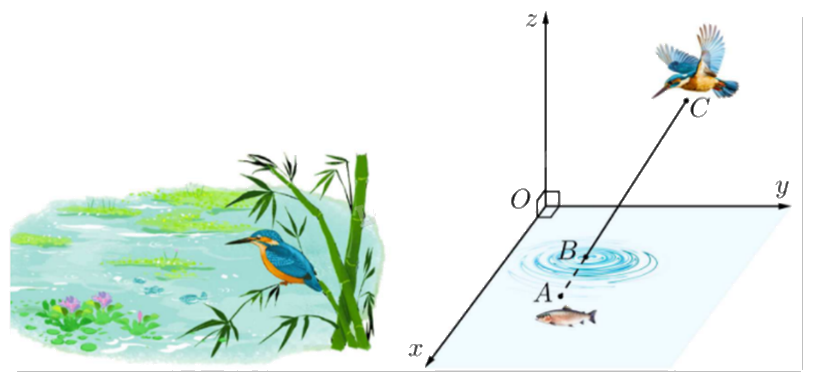 Đề thi học kì 1 Toán 12 Cánh diều - Đề số 1 1 13