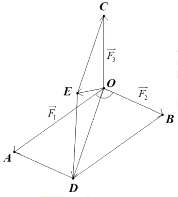 Đề thi học kì 1 Toán 12 Cánh diều - Đề số 2 1 12