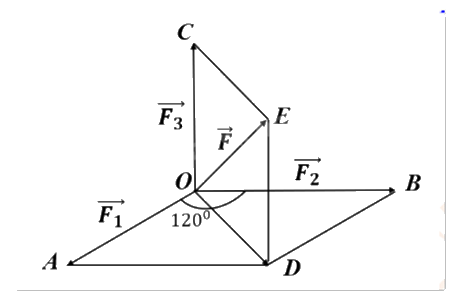 Đề thi học kì 1 Toán 12 Chân trời sáng tạo - Đề số 1 1 12