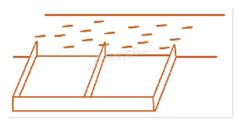 Đề thi học kì 1 Toán 12 Chân trời sáng tạo - Đề số 1 1 9