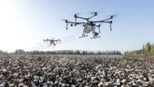 Đề thi học kì 1 Toán 12 Chân trời sáng tạo - Đề số 2 1 13