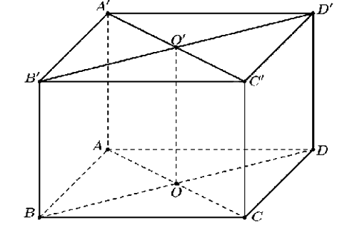 Đề thi học kì 1 Toán 12 Chân trời sáng tạo - Đề số 4 1 13