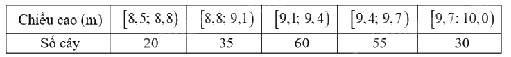 Đề thi học kì 1 Toán 12 Kết nối tri thức - Đề số 2 0 11