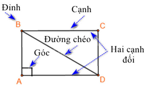 Đề thi học kì 1 Toán 6 Chân trời sáng tạo - Đề số 16 1 1