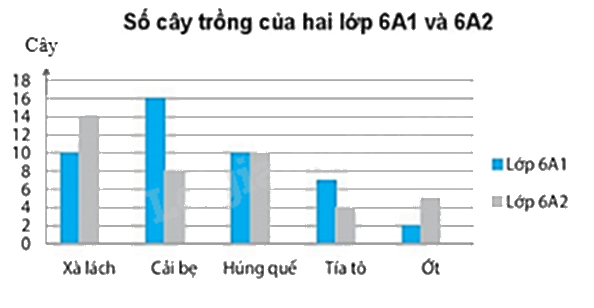 Đề thi học kì 1 Toán 6 - Đề số 11 - Chân trời sáng tạo 1 4