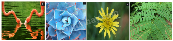 Đề thi học kì 1 Toán 6 - Đề số 13 - Cánh diều 0 3