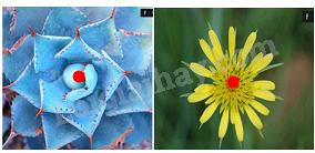 Đề thi học kì 1 Toán 6 - Đề số 13 - Cánh diều 1 4