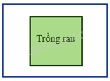 Đề thi học kì 1 Toán 6 - Đề số 14 - Chân trời sáng tạo 1 3