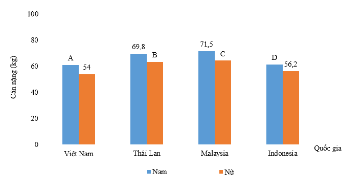 Đề thi học kì 1 Toán 6 - Đề số 7 - Chân trời sáng tạo 1