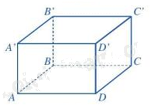 Đề thi học kì 1 Toán 7 Cánh diều - Đề số 16 1 1