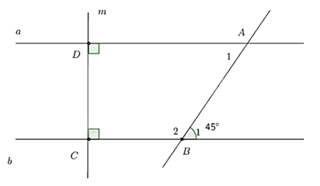 Đề thi học kì 1 Toán 7 Cánh diều - Đề số 16 1 3
