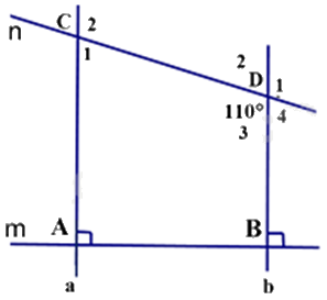Đề thi học kì 1 Toán 7 Chân trời sáng tạo - Đề số 11 1 11