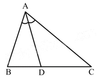 Đề thi học kì 1 Toán 7 Chân trời sáng tạo - Đề số 16 0 1