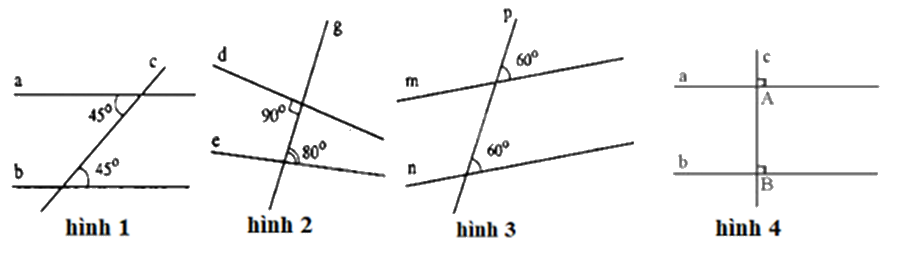 Đề thi học kì 1 Toán 7 Chân trời sáng tạo - Đề số 16 0 5