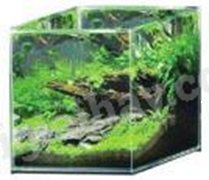 Đề thi học kì 1 Toán 7 Chân trời sáng tạo - Đề số 16 1 4