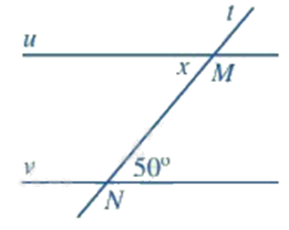 Đề thi học kì 1 Toán 7 Chân trời sáng tạo - Đề số 16 1 6