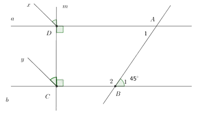 Đề thi học kì 1 Toán 7 Chân trời sáng tạo - Đề số 16 1 8