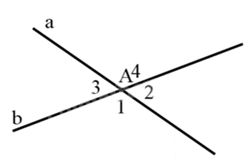 Đề thi học kì 1 Toán 7 Chân trời sáng tạo - Đề số 17 1 2