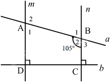 Đề thi học kì 1 Toán 7 Chân trời sáng tạo - Đề số 18 0 3