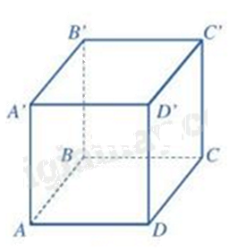 Đề thi học kì 1 Toán 7 Chân trời sáng tạo - Đề số 18 1 4