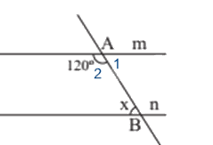 Đề thi học kì 1 Toán 7 - Đề số 14 - Kết nối tri thức 1 6