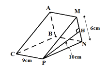 Đề thi học kì 1 Toán 7 - Đề số 4 - Cánh diều 2