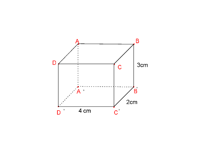 Đề thi học kì 1 Toán 7 - Đề số 4 - Chân trời sáng tạo 2