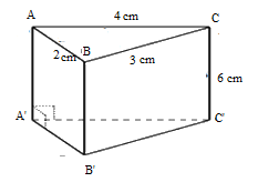 Đề thi học kì 1 Toán 7 - Đề số 4 - Chân trời sáng tạo 5