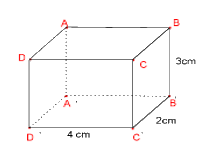 Đề thi học kì 1 Toán 7 - Đề số 9 - Cánh diều 0 2